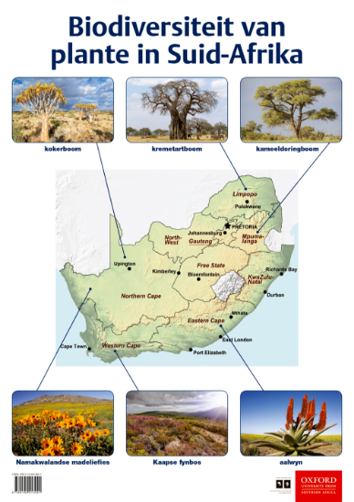 Picture of Biodiversiteit van plante in Suid-Afrika