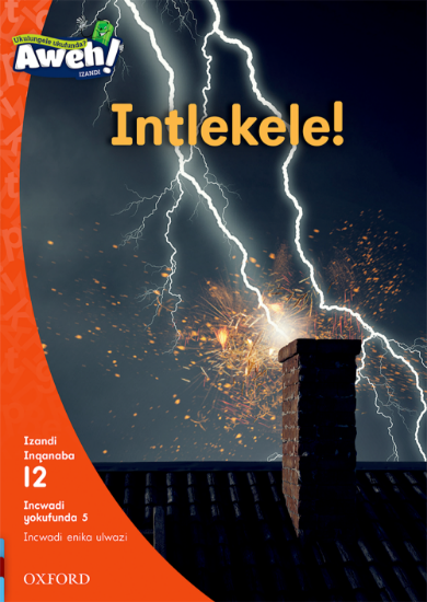 Picture of Intlekele!