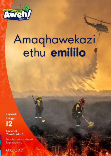 Picture of Amaqhawe ethu emililo