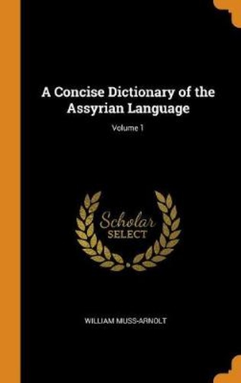 Picture of A Concise Dictionary of the Assyrian Language; Vol