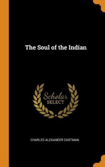 Picture of The Soul of the Indian