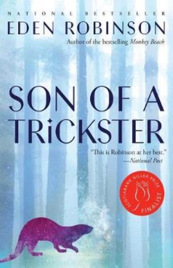 Picture of Son of a Trickster