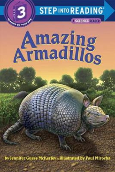 Picture of Amazing Armadillos