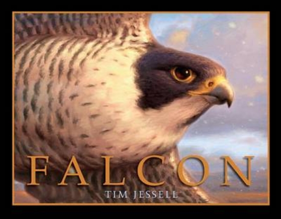 Picture of Falcon