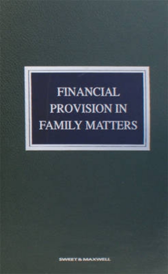 Picture of Financial Provision in Family Matters