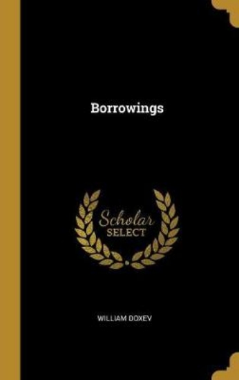 Picture of Borrowings