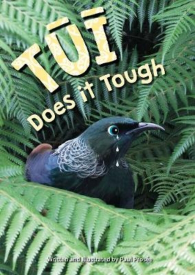 Picture of Tui Does it Tough