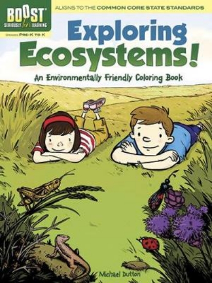 Picture of BOOST Exploring Ecosystems! An Environmentally Fri