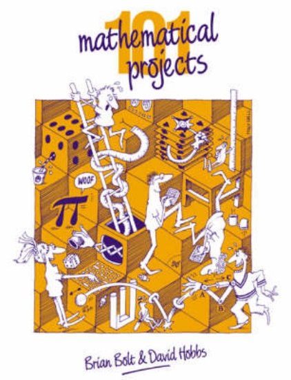 Picture of 101 Mathematical Projects