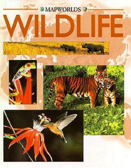 Picture of Wildlife