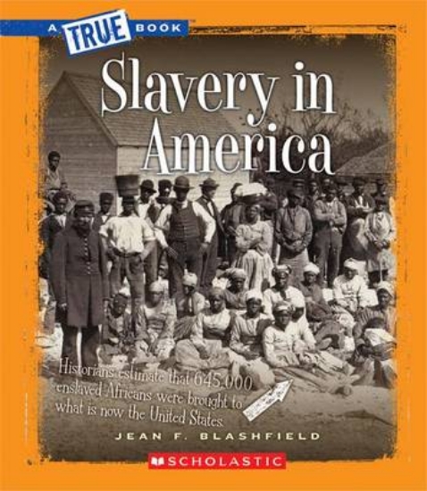 Picture of Slavery in America