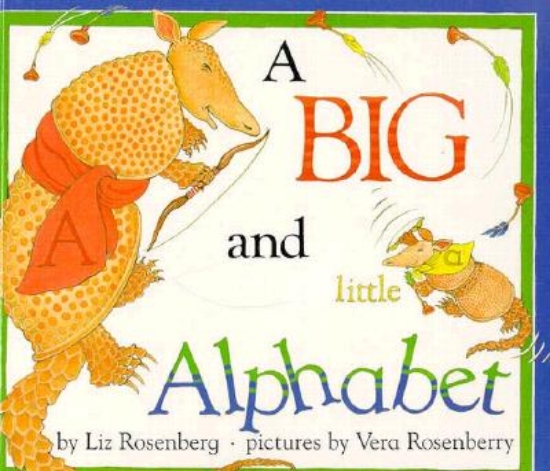 Picture of A Big and Little Alphabet