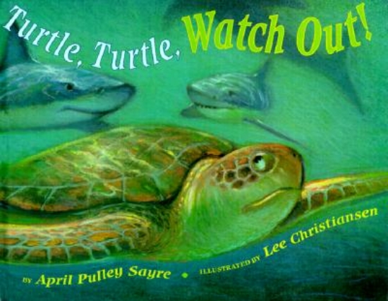 Picture of Turtle, Turtle, Watch Out!