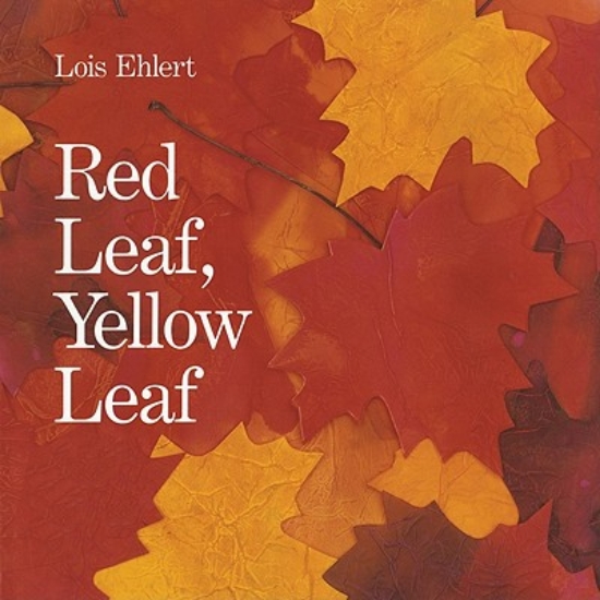 Picture of Red Leaf, Yellow Leaf