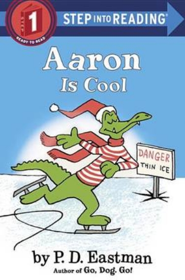 Picture of Aaron Is Cool