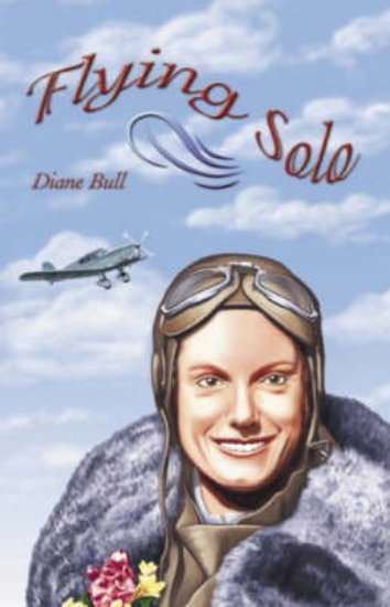 Picture of Flying Solo