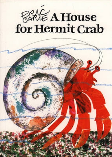 Picture of A House for Hermit Crab