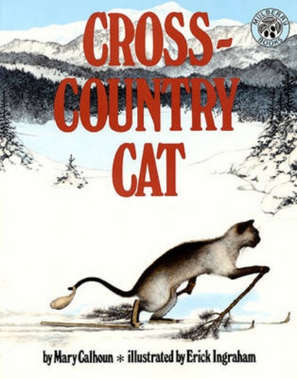 Picture of Cross-Country Cat