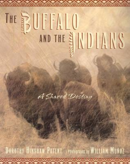 Picture of The Buffalo and the Indians