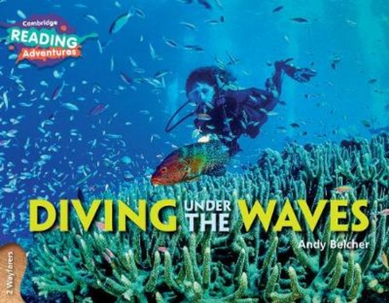 Picture of 2 Wayfarers Diving Under the Waves 