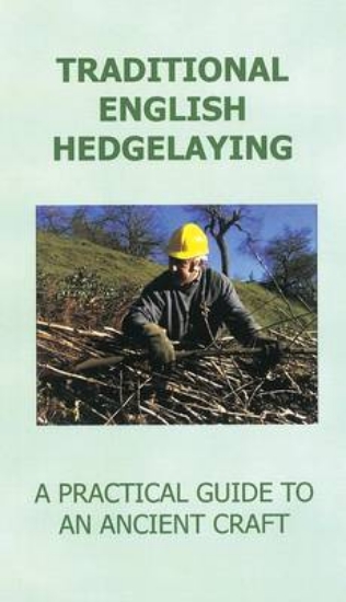 Picture of Traditional English Hedgelaying