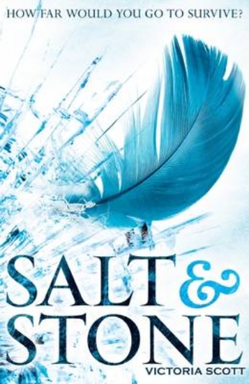 Picture of Salt &amp; Stone