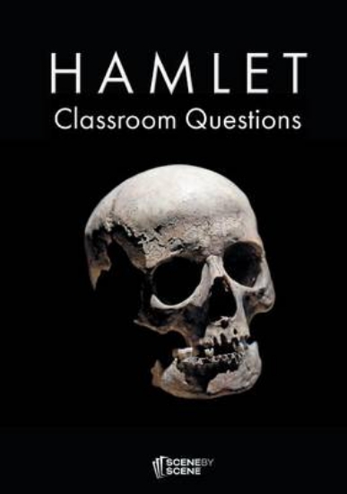 Picture of Hamlet Classroom Questions