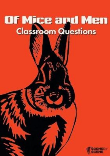 Picture of Of Mice and Men Classroom Questions