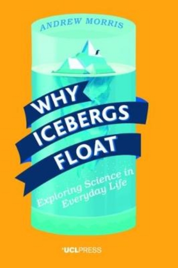 Picture of Why Icebergs Float