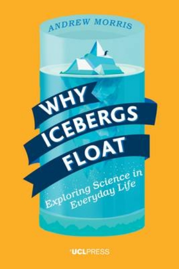 Picture of Why Icebergs Float