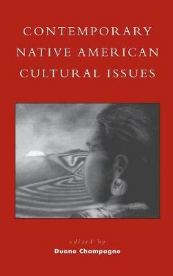 Picture of Contemporary Native American Cultural Issues