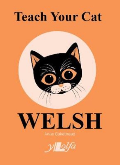 Picture of Teach Your Cat Welsh