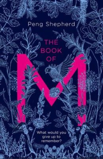 Picture of The Book of M