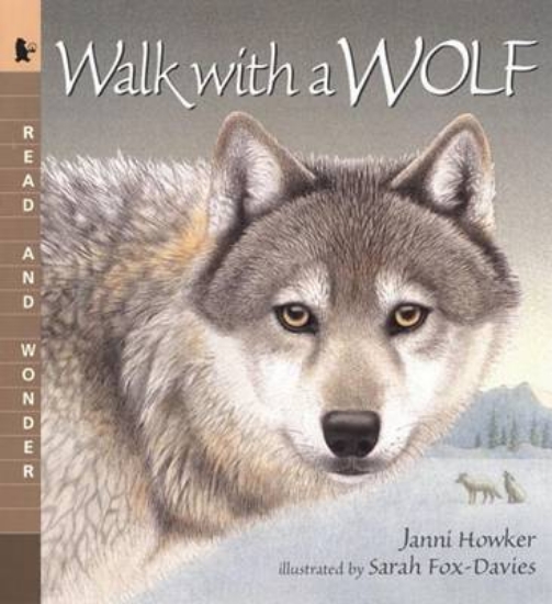 Picture of Walk with a Wolf