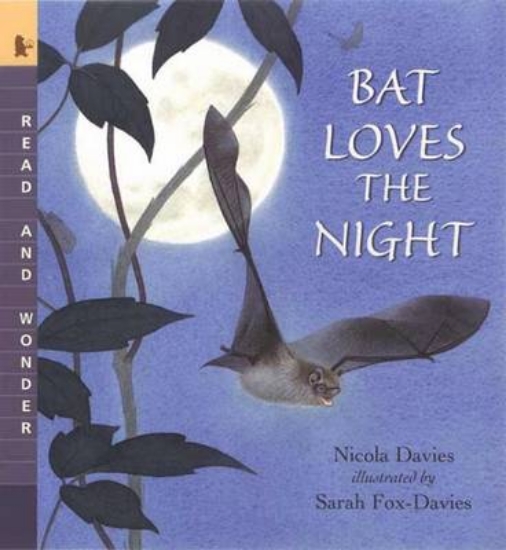 Picture of Bat Loves the Night