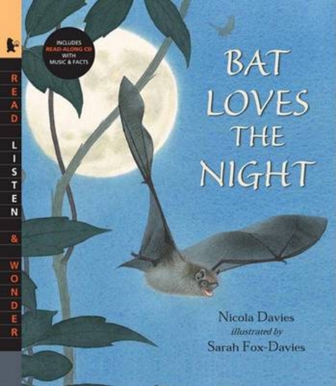 Picture of Bat Loves the Night