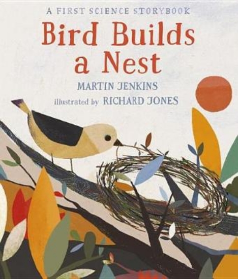 Picture of Bird Builds a Nest