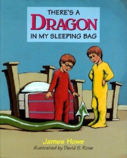 Picture of There's a Dragon in My Sleeping Bag