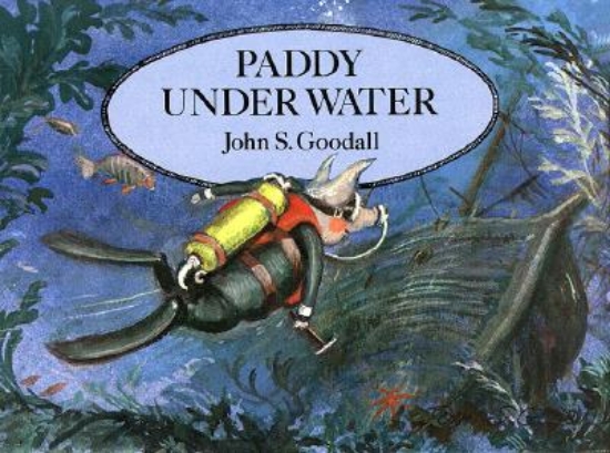 Picture of Paddy Underwater