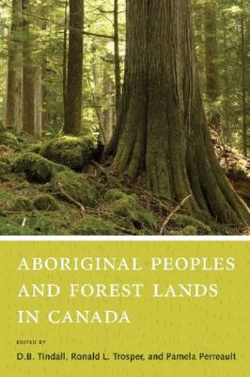 Picture of Aboriginal Peoples and Forest Lands in Canada