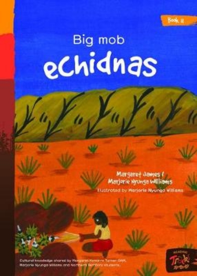 Picture of Book 11 - Big Mob Echidnas