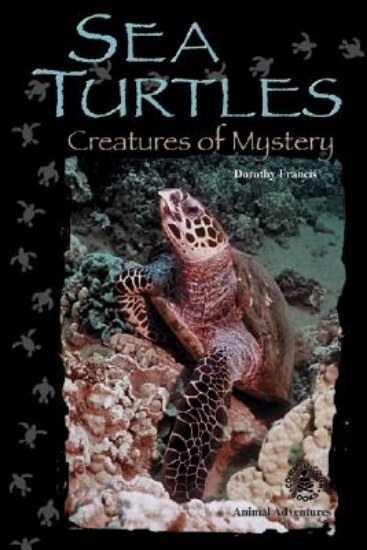 Picture of Sea Turtles