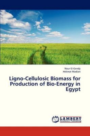 Picture of Ligno-Cellulosic Biomass for Production of Bio-Ene