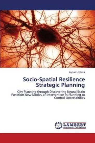 Picture of Socio-Spatial Resilience Strategic Planning