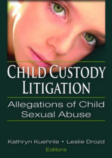 Picture of Child Custody Litigation