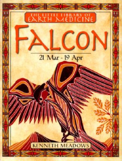 Picture of Falcon