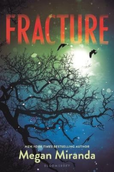 Picture of Fracture