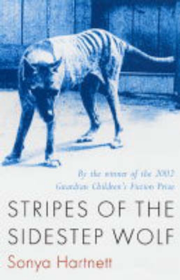 Picture of Stripes of the Sidestep Wolf