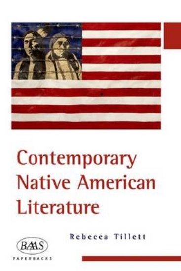 Picture of Contemporary Native American Literature