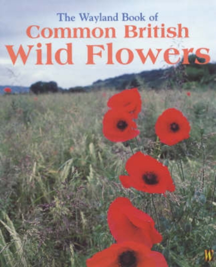 Picture of Wayland Book of Common British Wild Flowers